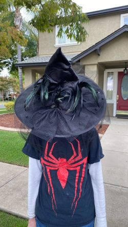 Halloween Black Veiled Witch Hat