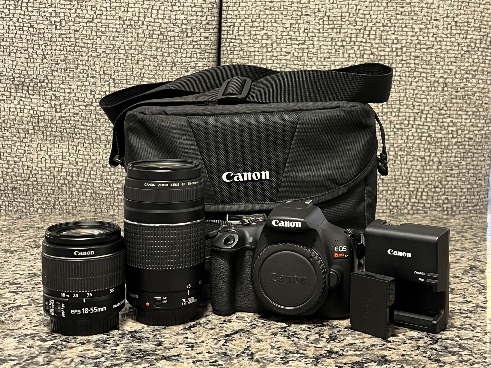 Canon Rebel T7 + 2 Lenses