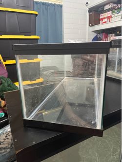 20 gallon short tank