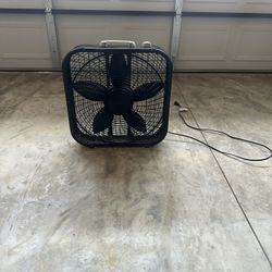 Fan