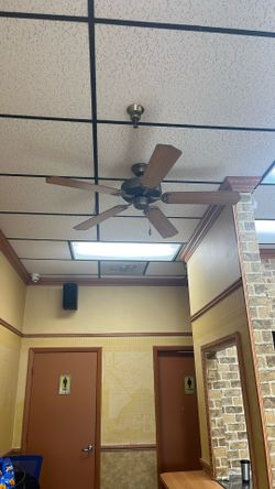 Ceiling Fans
