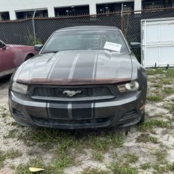 Body Shop Special !!