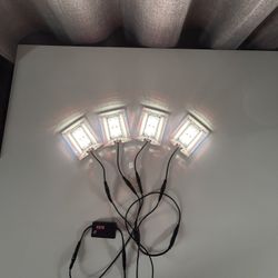 Terrarium Tiny Lites