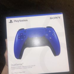 Ps5 Controller 