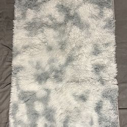 Super Soft Carpet Floor Mat Rug