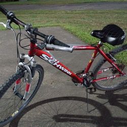 Schwinn Bicycle 