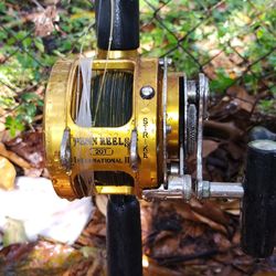 Penn 20t With 50t Drag Upgrade 