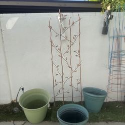 Planters 