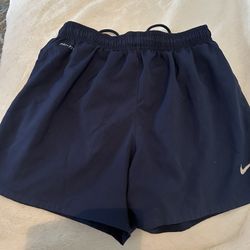 Blue Nike Adult Shorts Small With Inner Lining