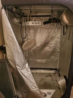 FREE Indoor grow set up.