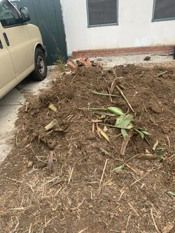 Free Dirt And Fill From Stump Grinding