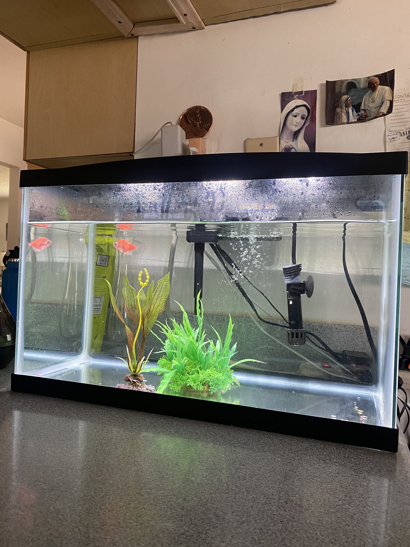 Fish Tank - 10 Gallon With Extras