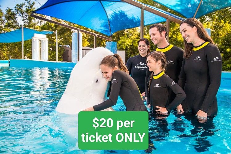 Sea World Tickets, SeaWorld San Diego Tickets, Summer 🏝️🌞 Deal For Families