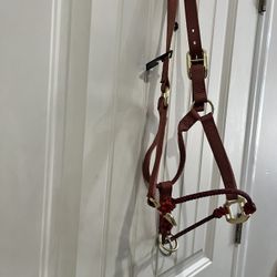 Presure Halter Fos Stallions, Jaquima Para Caballo, Gamarra, 