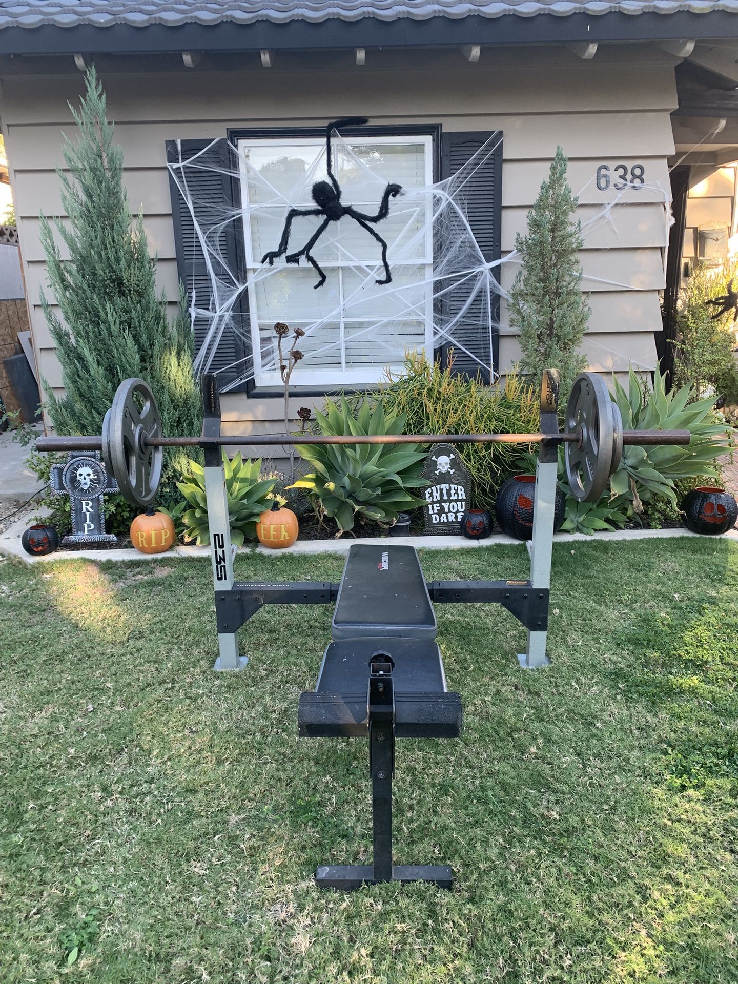 Weight Bench With Weights