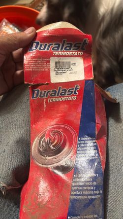 Duralast Thermostat with Seal #41392