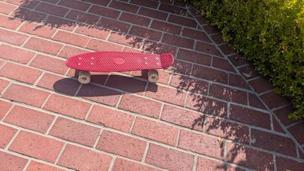 Scateboard