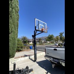 Mammoth Basketball Hoop