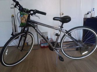 TREK Verve 1