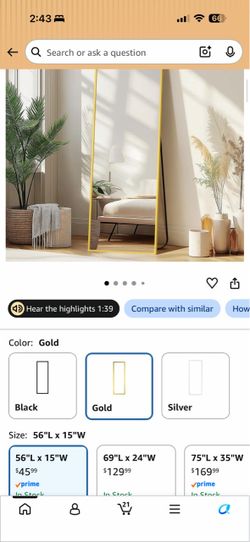 Gold Full Length Floor Mirror