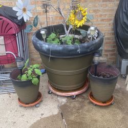 Garden Baskets Flower Basket