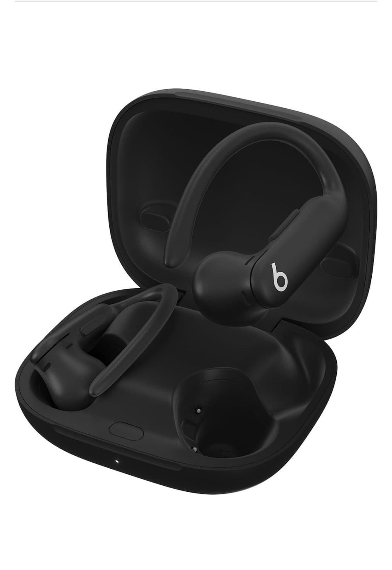 Power Beats Pro Earbuds