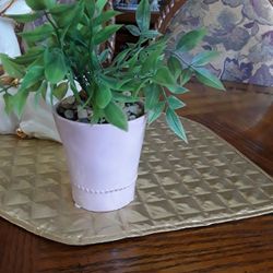 Brand New Decor Plant In Weeki Wachee Spring Hill