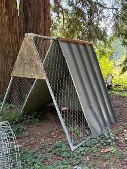 Shelter
