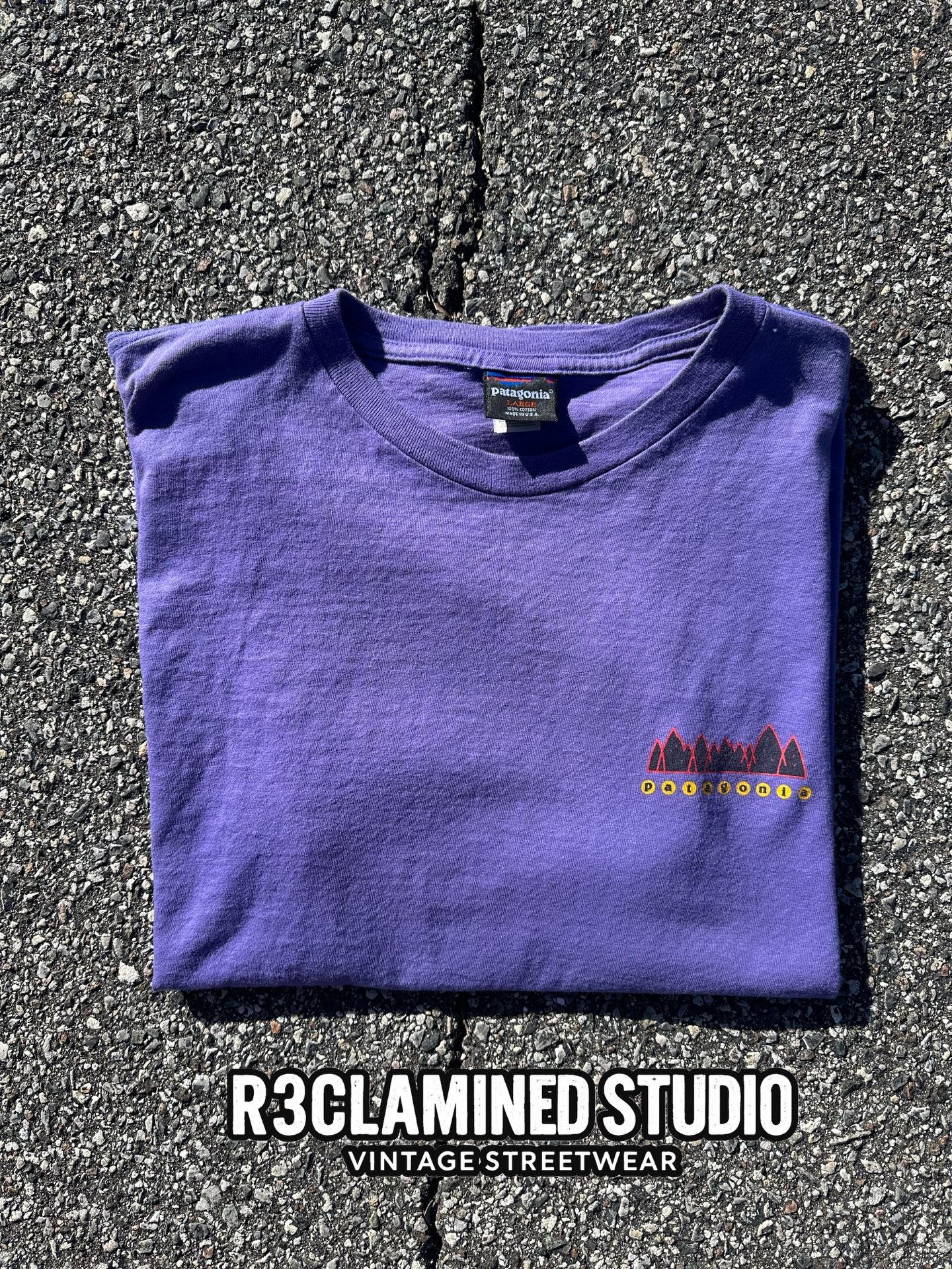 Vintage 90s Patagonia Graphic Tee
