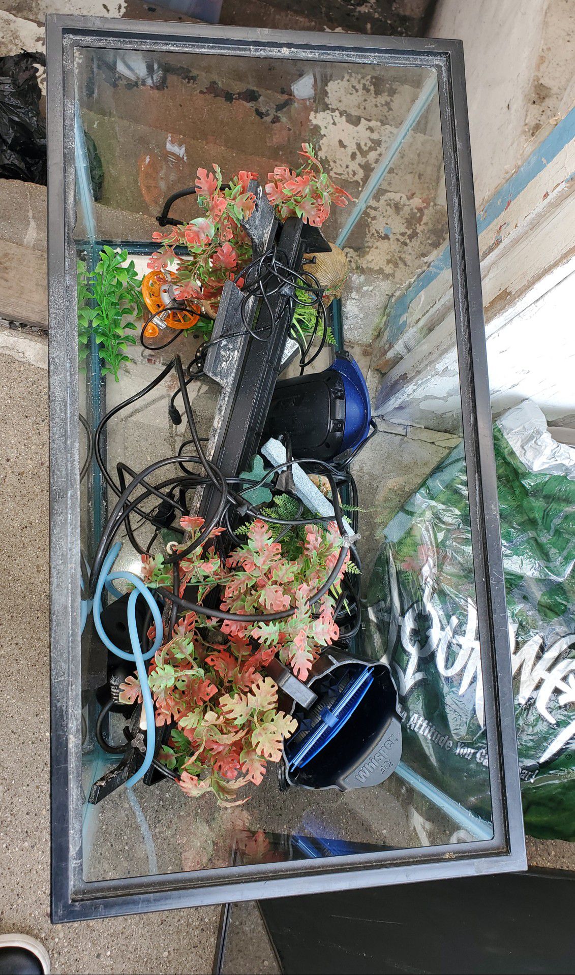 29g Aquarium tank