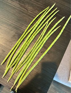 Moringa fruits 10 for $5.00