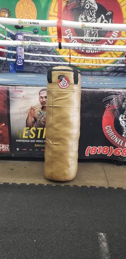Punching Bag