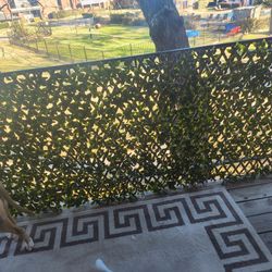 Privacy lattice for balcony or any fence