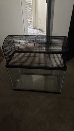Fish tank