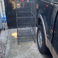 Free Bird Critter Cage