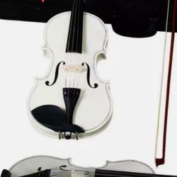 Violin 4/4 With Accessories 