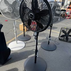 Fan 