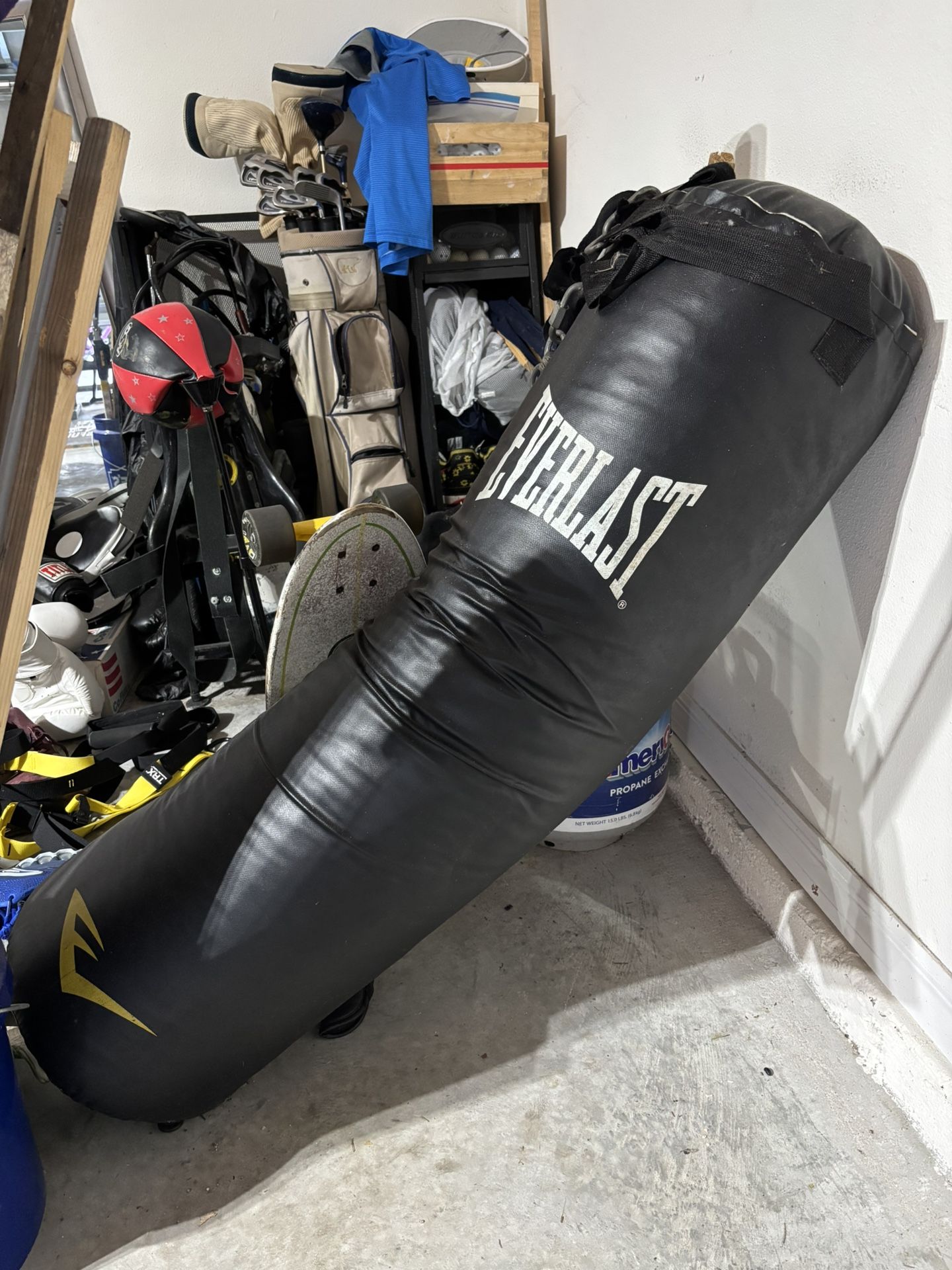 *Like New* Everlast Boxing Punching Bag