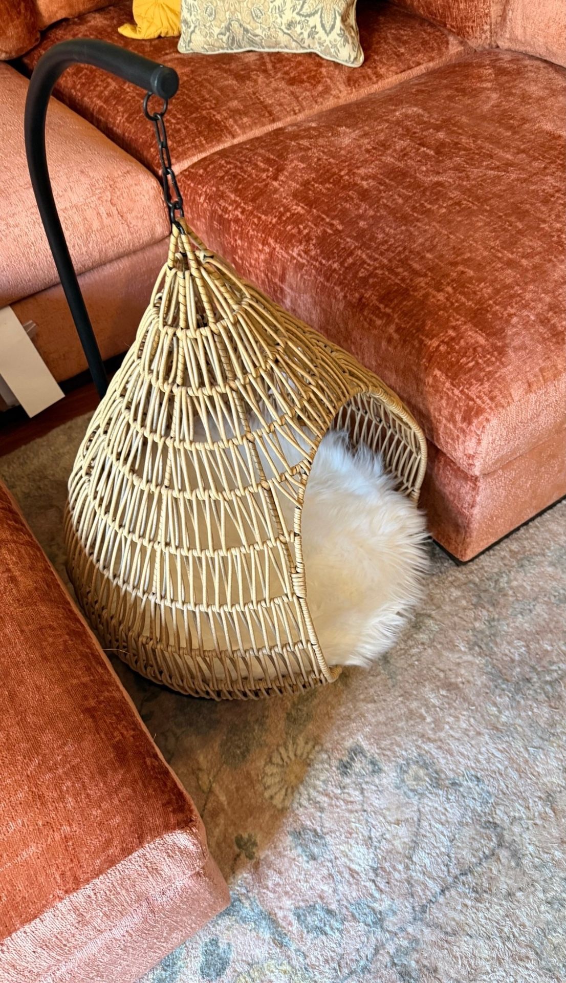 Egg Chair Swing Bed For Small Dog Or Cat