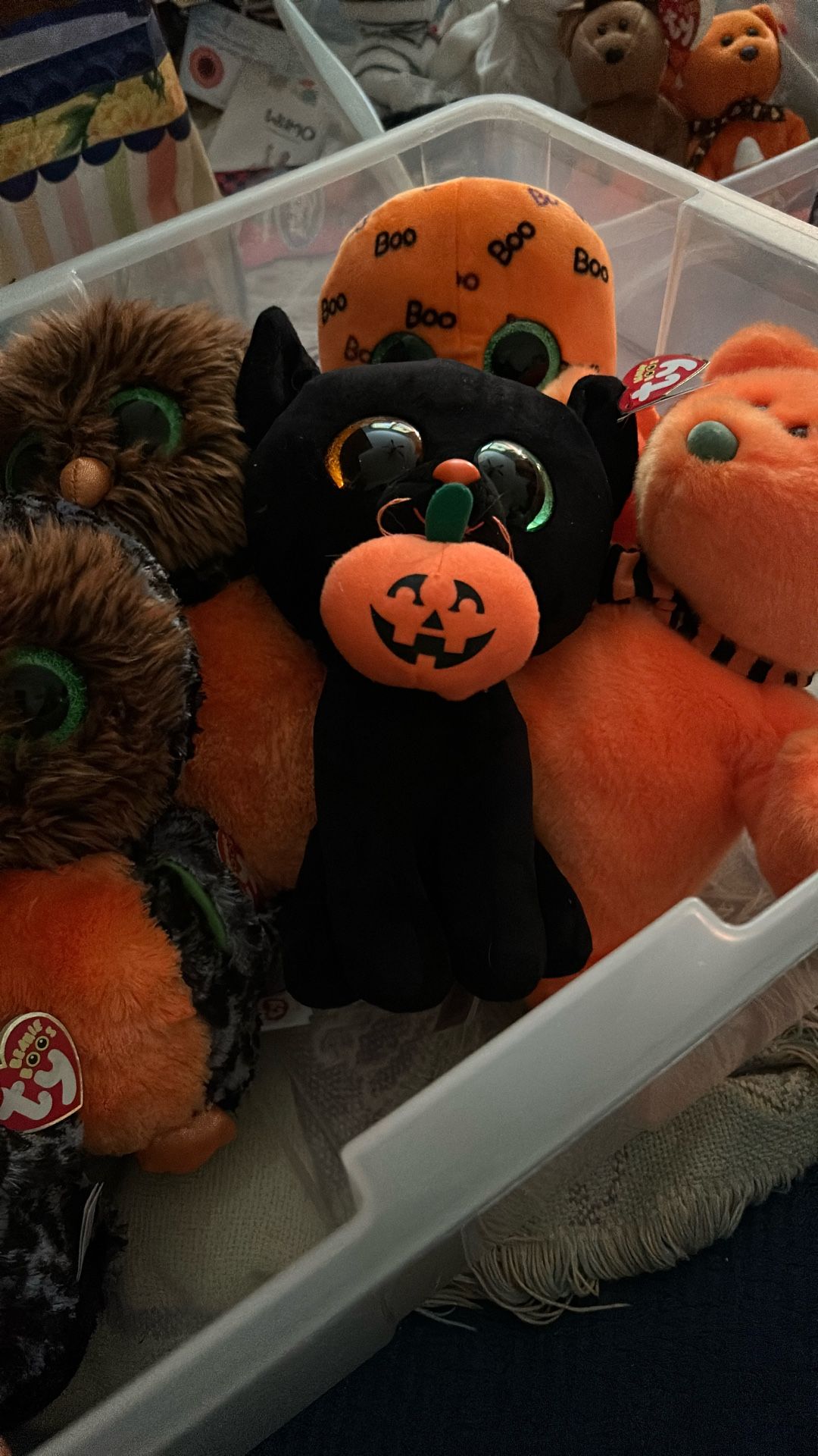 Shadow Black Kitty With Pumpkin TY. Boo