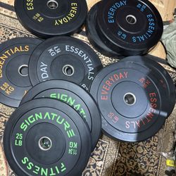 Bumper Plate Set 