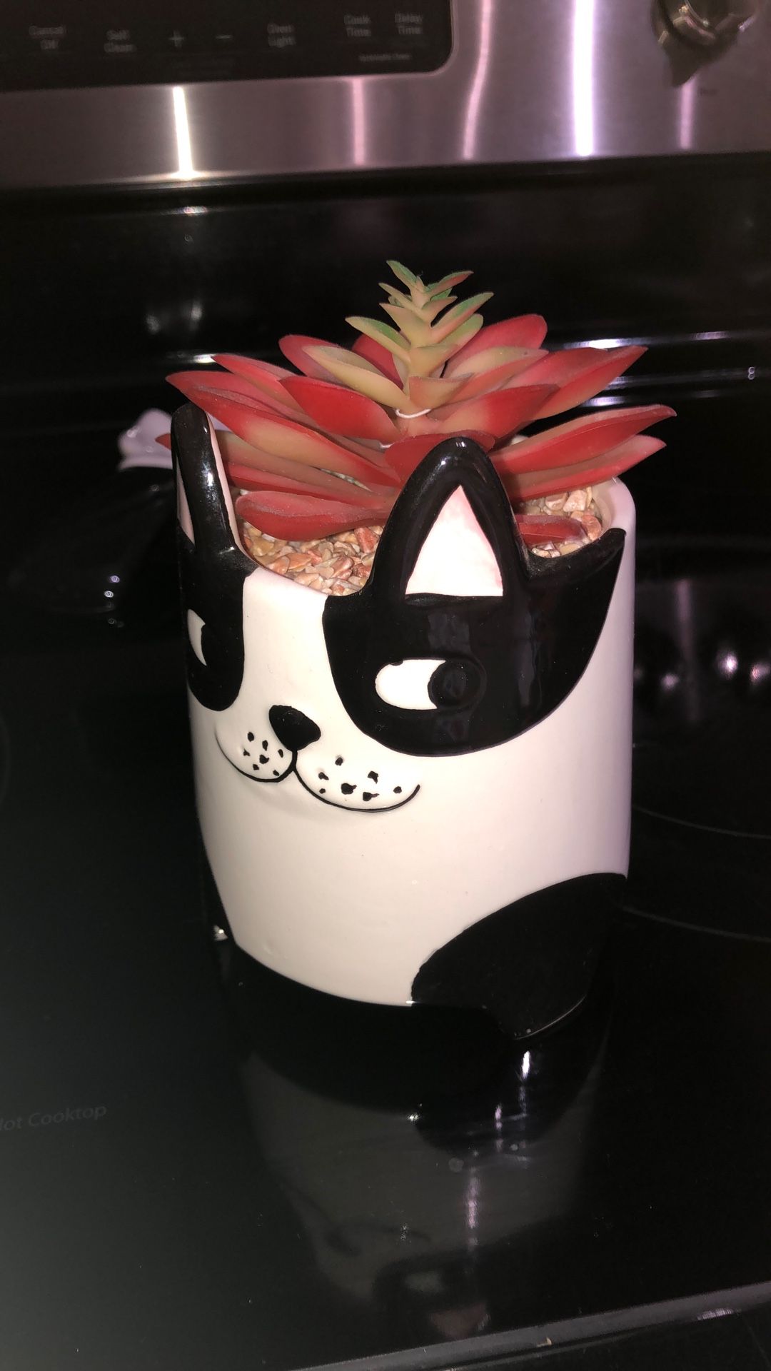 Artificial plant in side, a cat race new