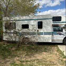 1999 Ford Minnie Winnie
