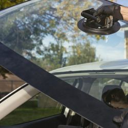 Windshield 