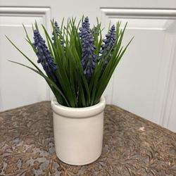 Flowers In Pot 