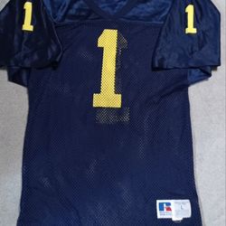 Vintage Wilson Men's Large Jersey Michigan Wolverines Braylon Edwards Browns  Maize Yellow