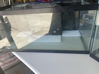 Fish tanks