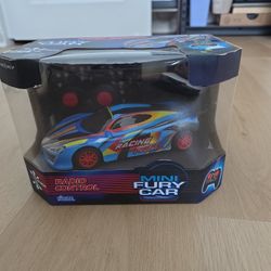 Mini Fury Car Radio Control