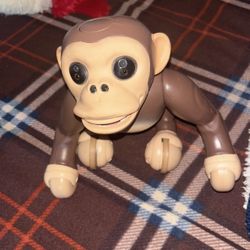 Monkey Toy