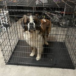 2XL Dog Kennel